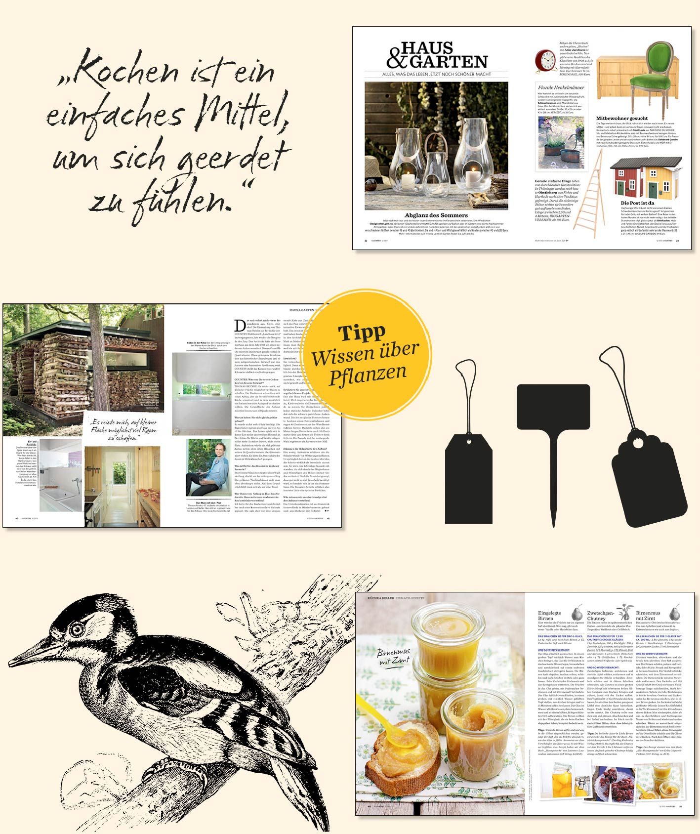 Country Magazin Collage