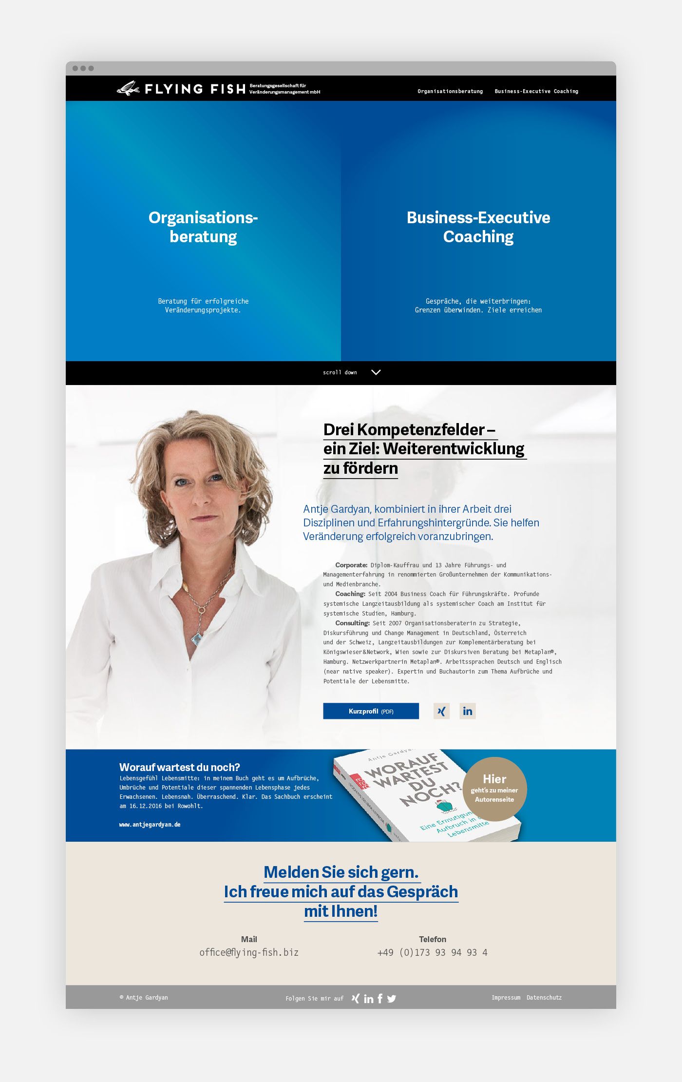 Flying Fish Website Ausschnitt