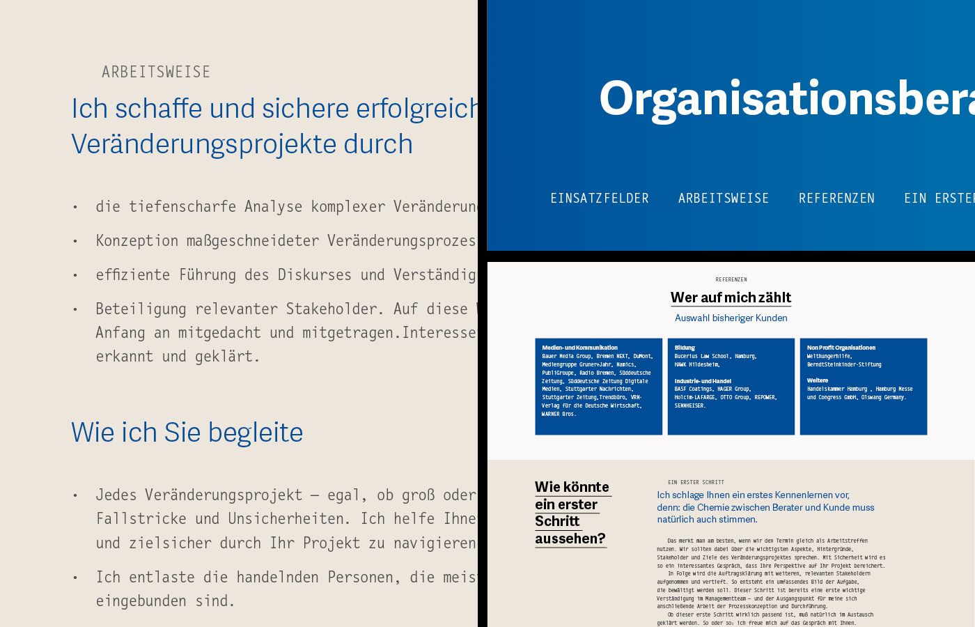 Flying Fish Website Detail