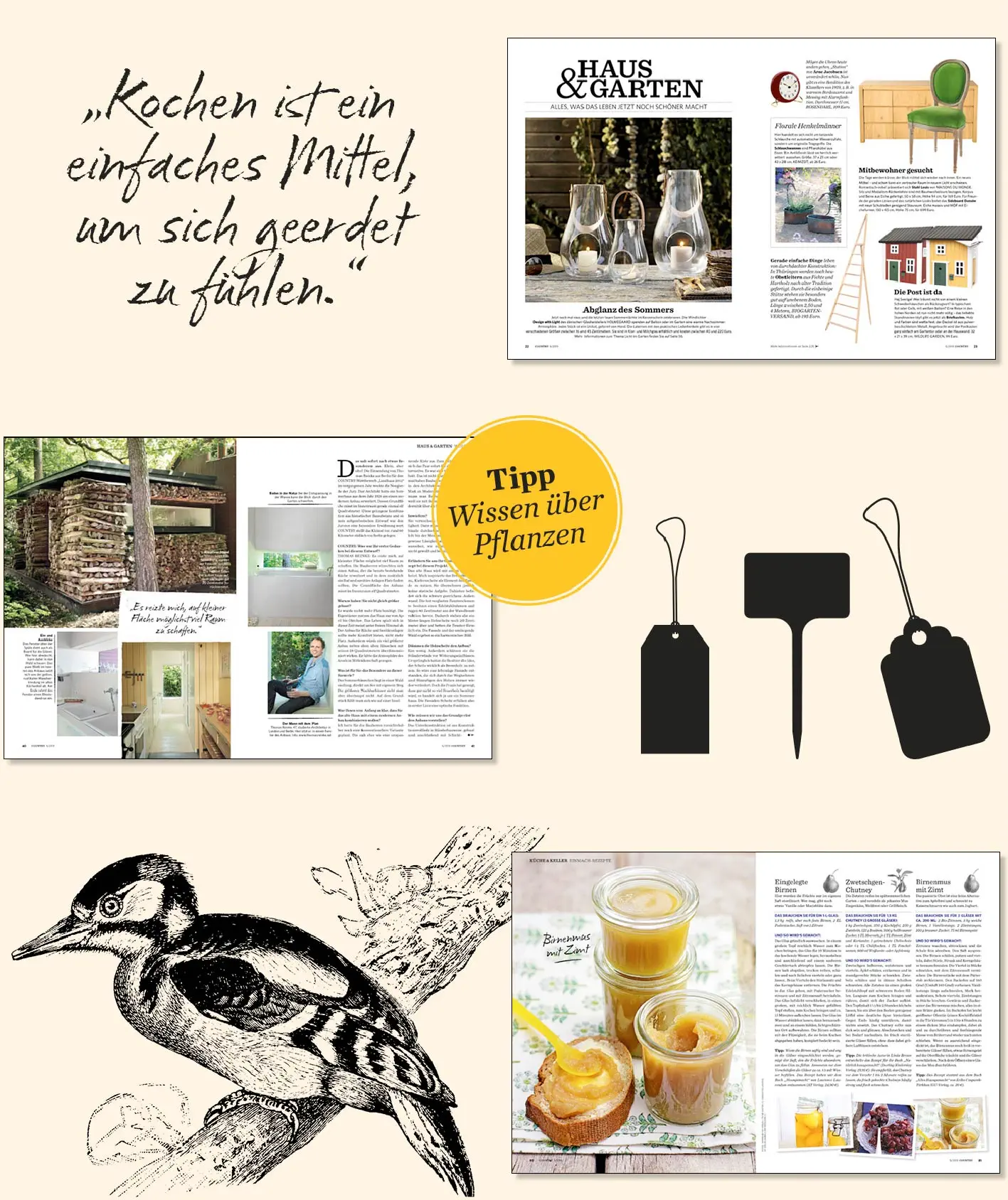 Country Magazin Collage